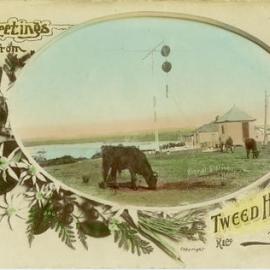  Greetings from Tweed Heads
