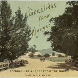 Greetings from Mudgee