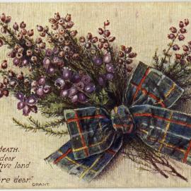 Mountain Heath, Flower of the Dear