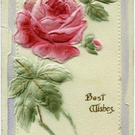 Best Wishes