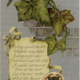 I cling quoth the ivy