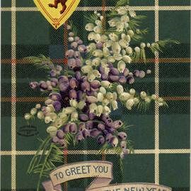 MacIntyre Tartan - To Greet You at the New Year