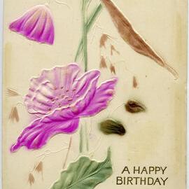 A Happy Birthday