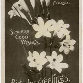 Sincere Good Wishes - Birthday Greetings