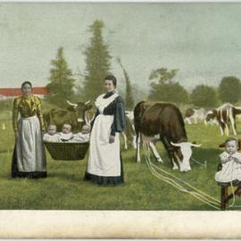 Cattle and Children
