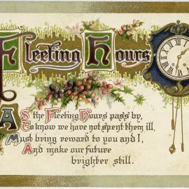 Fleeting Hours