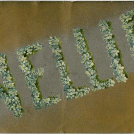 Nellie