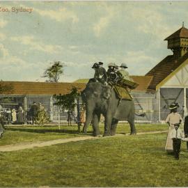 Scene in the Zoo, Sydney