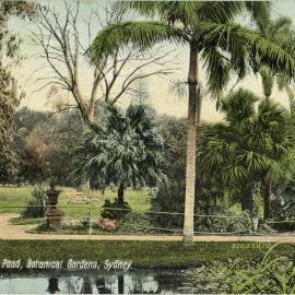Goldfish Pond, Botanical Gardens, Sydney