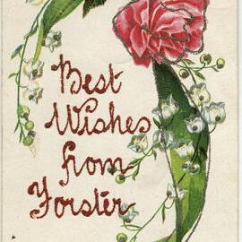 Best Wishes From Forster