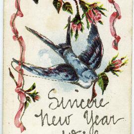 Sincere New Year Wishes