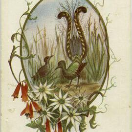 Lyrebirds - Be Justice and peace the whole world o'er / And banished forever the thought of war