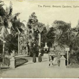 The Forest, Botanic Gardens, Sydney