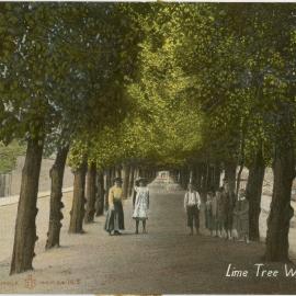 Lime Tree Walk, Alloa, Scotland