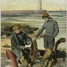 A Message From the Sea
