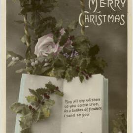 A Merry Christmas