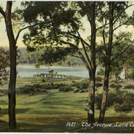 The Avenue, Lane Cove, Sydney
