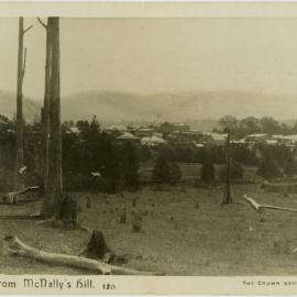 Bellingen from McNally's Hill.