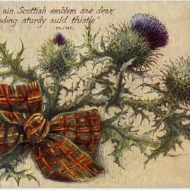 Tartan Thistles
