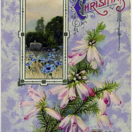 A Merry Christmas to You
