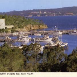 The fishing fleet, Twofold bay, Eden, NSW