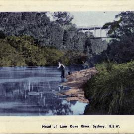 Head of Lane Cove River, Sydney