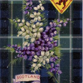 Scotland Forever - the Graham Tartan