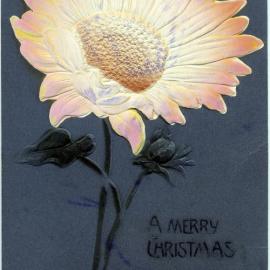 A Merry Christmas