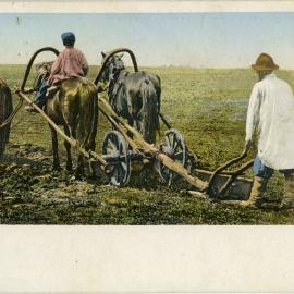 Russian Farmers