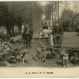 Dog Carts