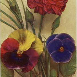 Three Flowers