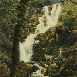 Torc Waterfall, Killarney, Ireland