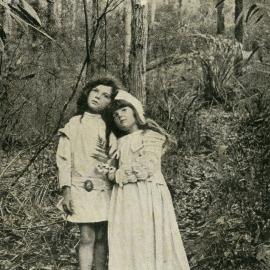 Australian Series - The Babes in the Wood - Silence and Despair