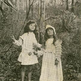 Australian Series - The Babes in the Woods - Hope that is a Voice