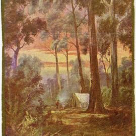 The Pioneer - Australian Series