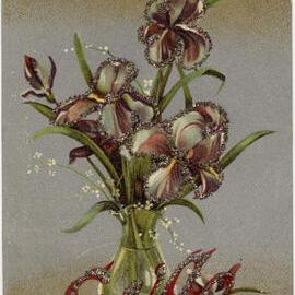 Eva - Orchid Vase