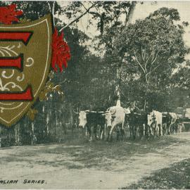 Australian Series - E