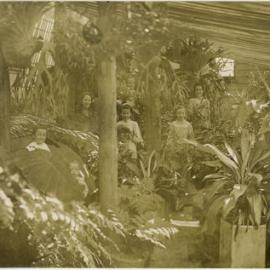 Greenhouse