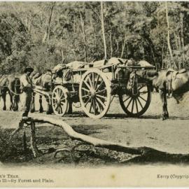 A Settler's Team