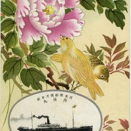 Japanese Sparrows - Nippon Yusen Kaisha SS "Tango Maru"