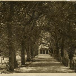 An Avenue in Castle Park, Colchester, UK
