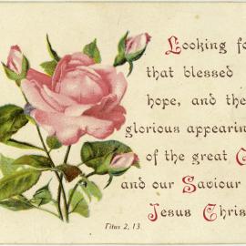 Looking for that blessed hope