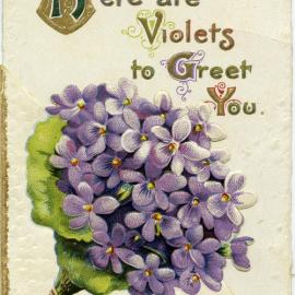Here are Violets to Greet You
