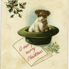 A Merry Merry Christmas