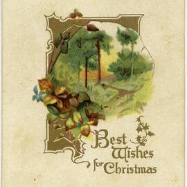 Best wishes for Christmas