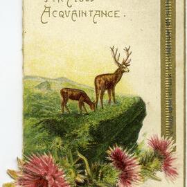 For Auld Acquaintance