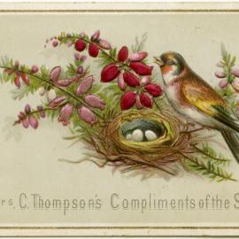 With Mrs C. Thompson's Compliments of the Season