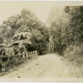 Unidentified road through the bush