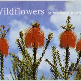Wildflowers of Western Australia