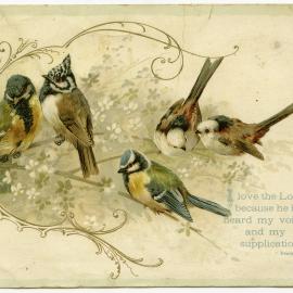 Birds with Psalm